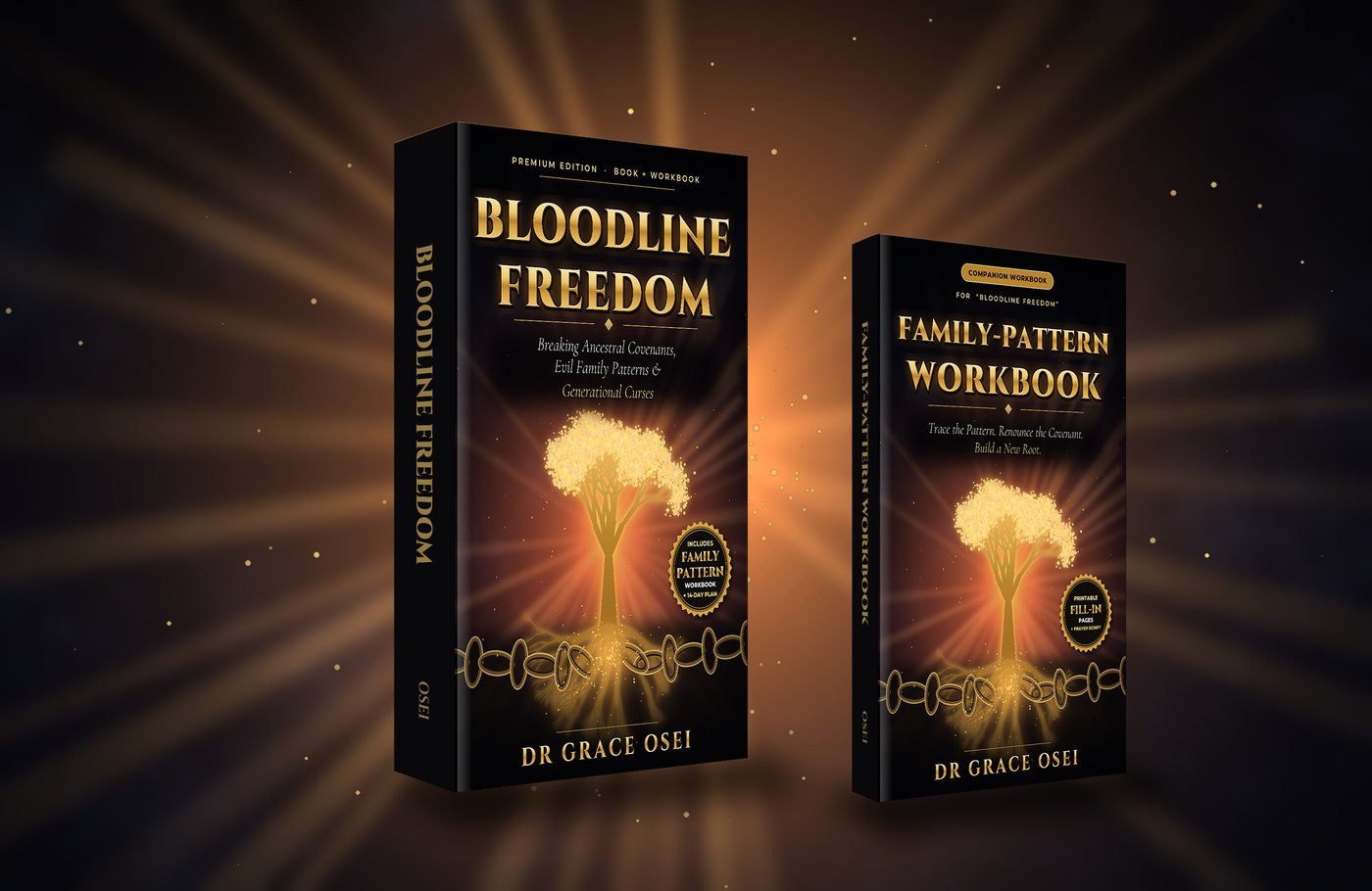 Bloodline Freedom ebook by Dr Grace Osei with the Family-Pattern Workbook