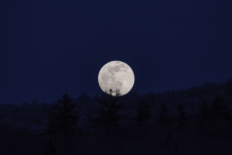 Full moon rising over dark trees – praying in the night watches as David did