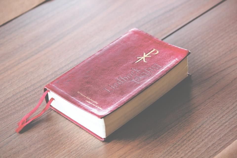 Holy Bible resting on a wooden table – praying KJV Scriptures after a snake dream