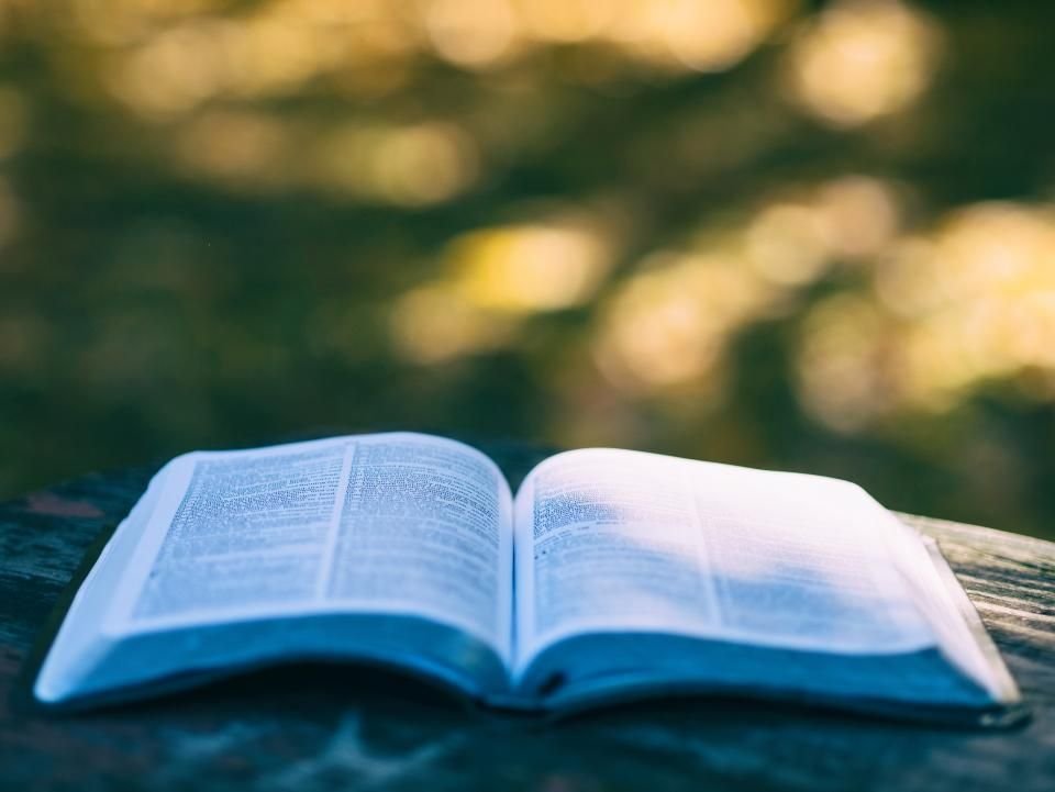 Open Bible resting on a wooden surface – Scripture as the first test of any dream