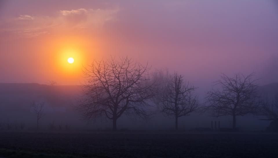 Sun rising over misty trees at dawn – peace after a spiritual attack in dreams