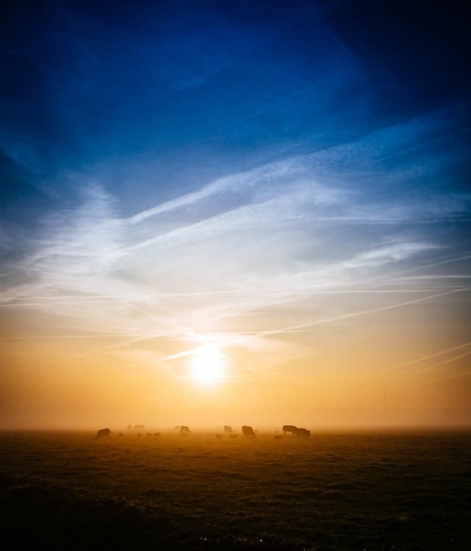 The sun rising over open fields – the third-day promise: “in the third day he will raise us up” (Hosea 6:2)