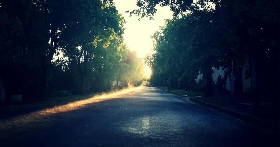 Morning sunlight shining down a road lined with trees – asking God to guard a husband's going out and coming in