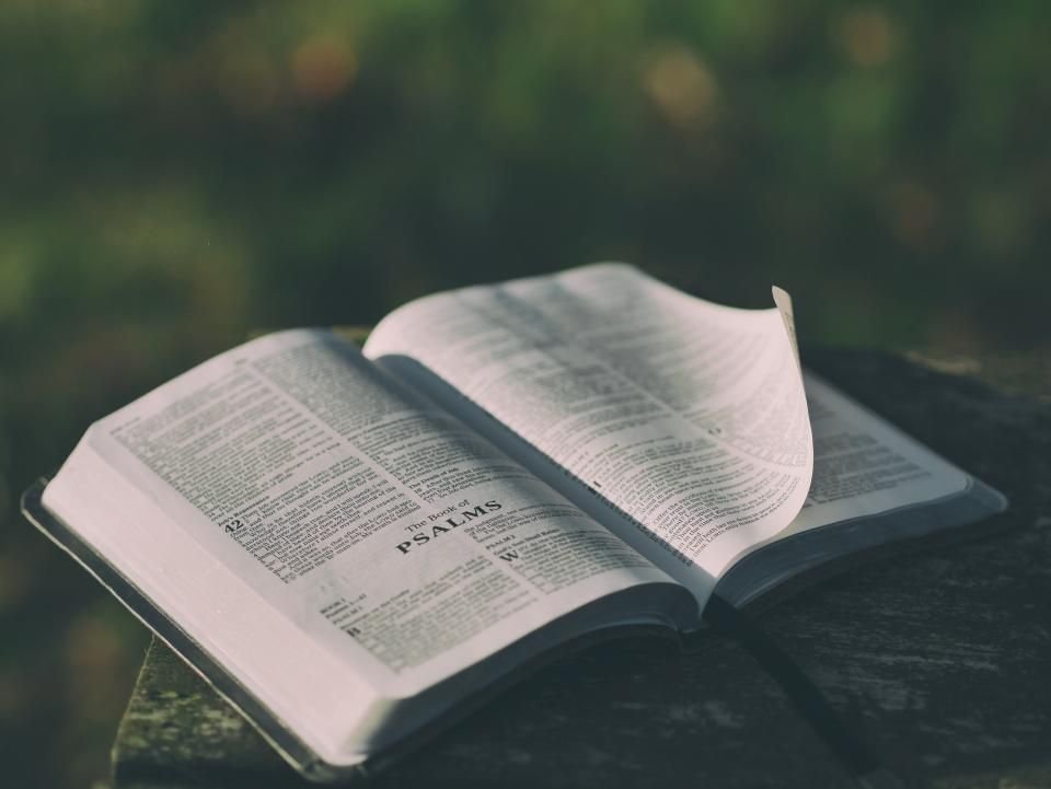 Open Bible resting outdoors in soft light – what does the Bible say about dreams