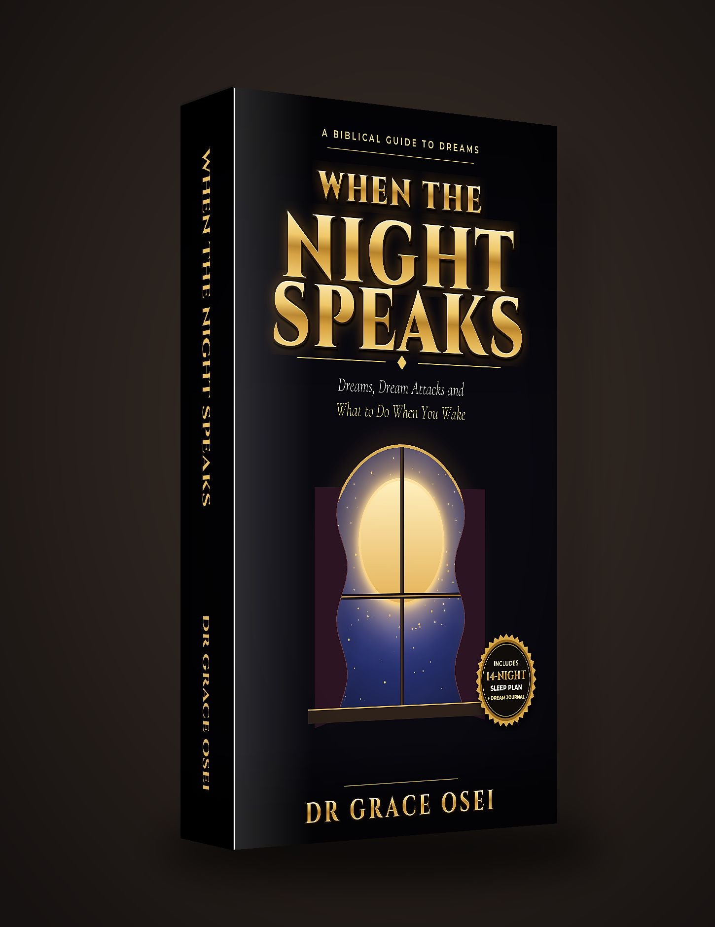 When the Night Speaks ebook by Dr Grace Osei